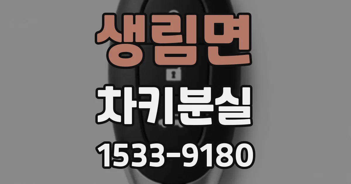 생림면 차키분실