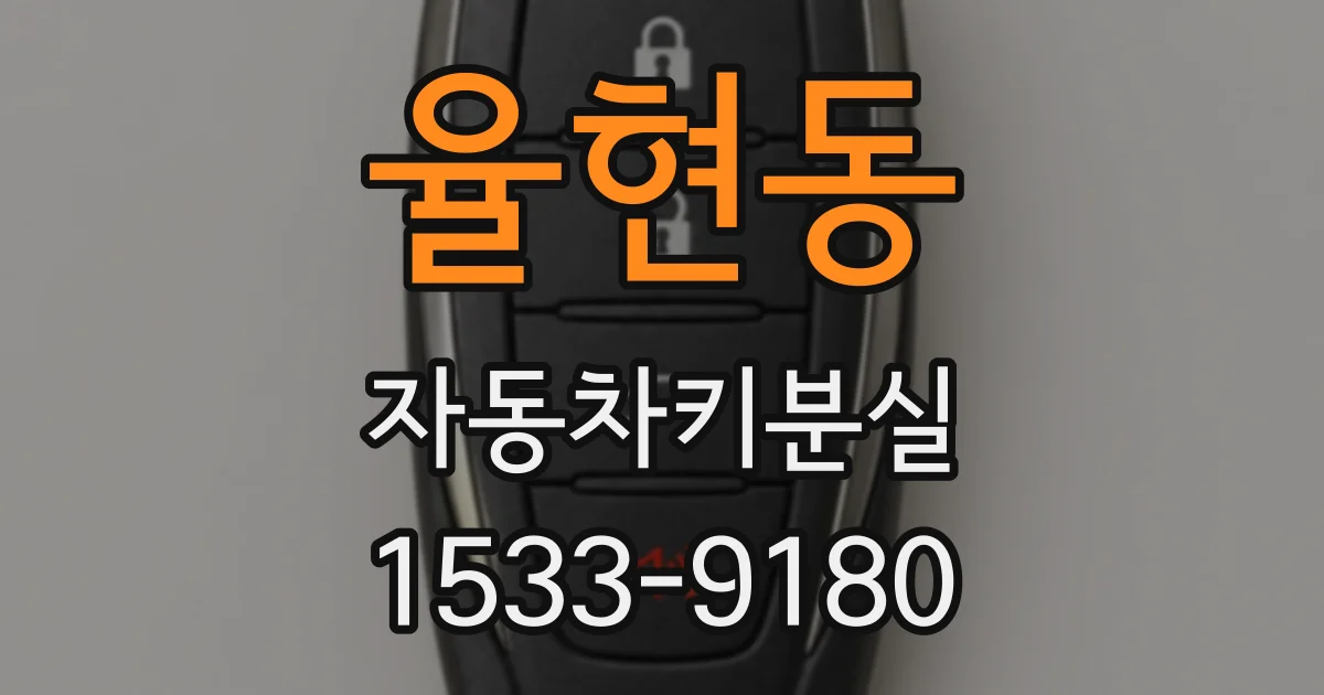율현동 자동차키분실
