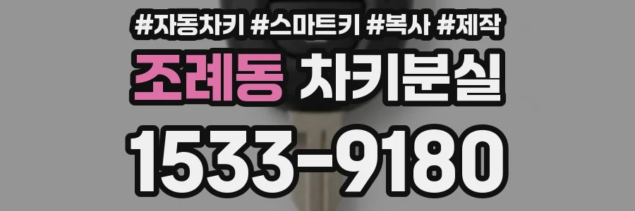 조례동 차키분실