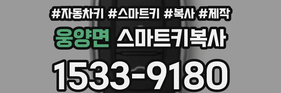 웅양면 스마트키복사