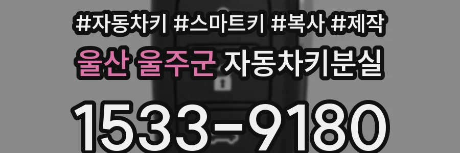 울산 울주군 자동차키분실