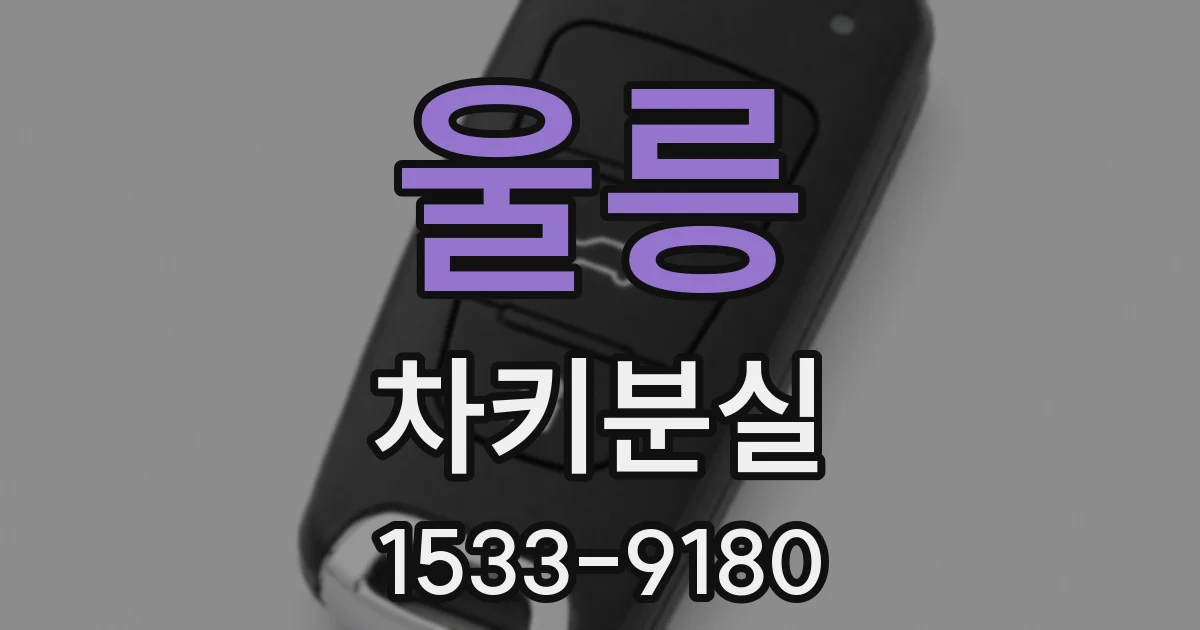 울릉 차키분실
