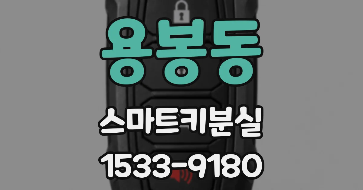 용봉동 스마트키분실