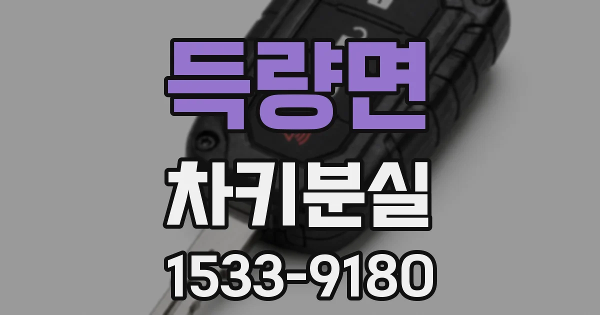 득량면 차키분실