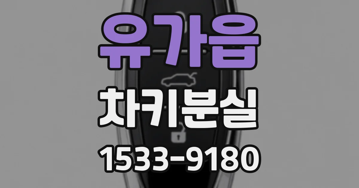 유가읍 차키분실