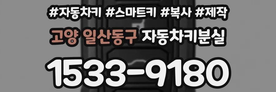 고양 일산동구 자동차키분실