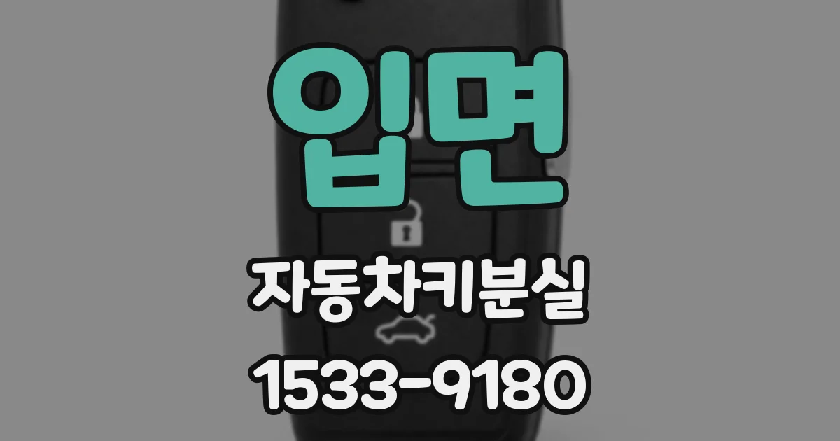 입면 자동차키분실