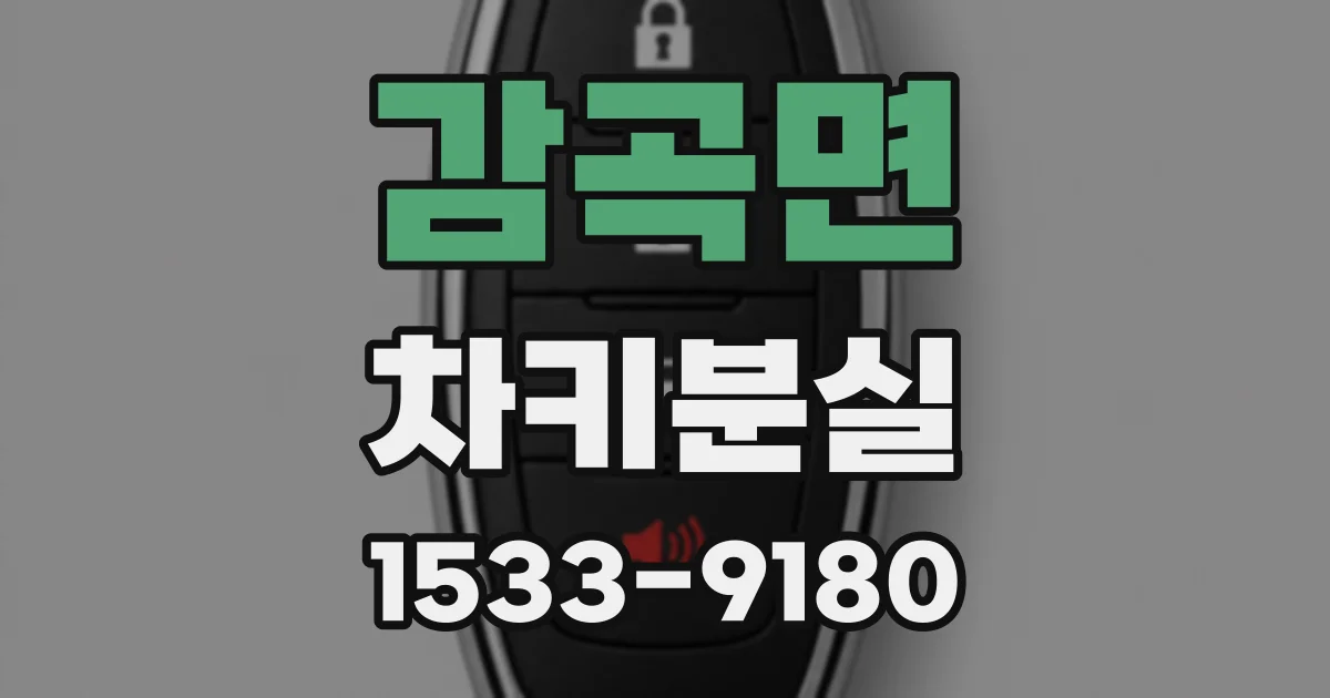 감곡면 차키분실