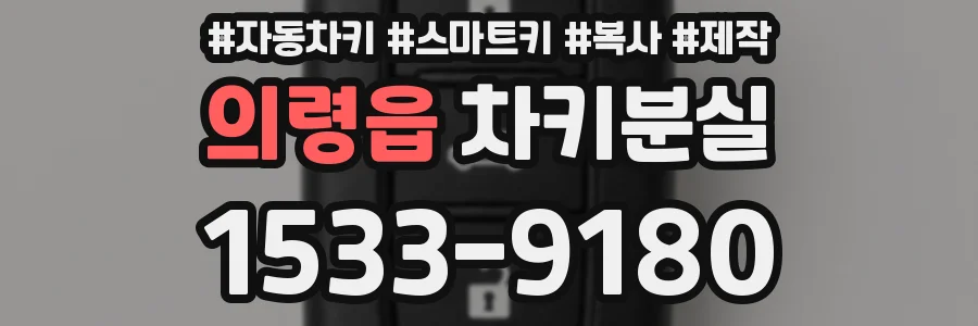 의령읍 차키분실