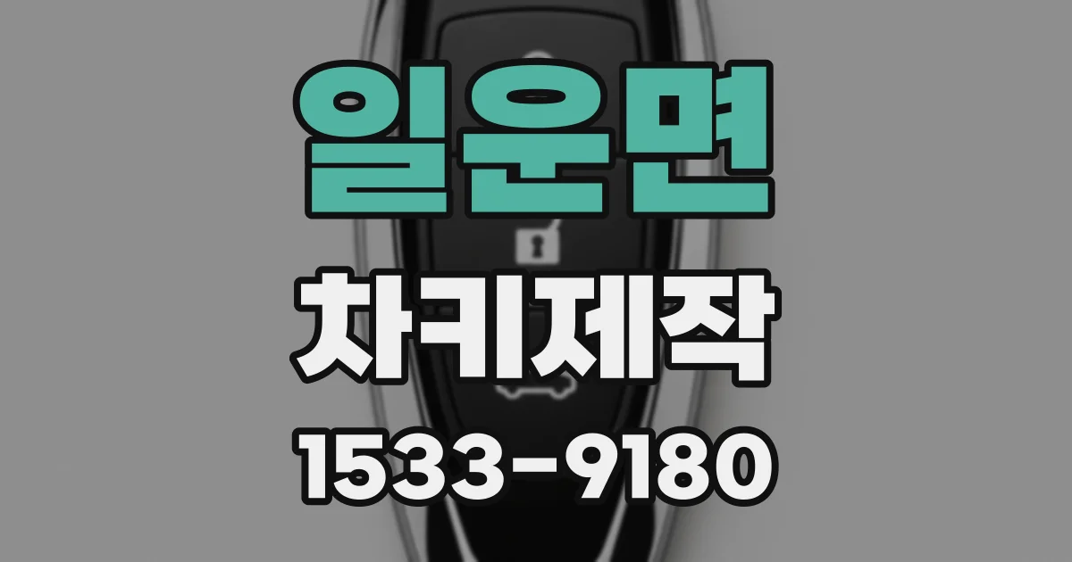 일운면 차키제작