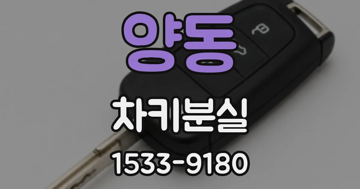 양동 차키분실