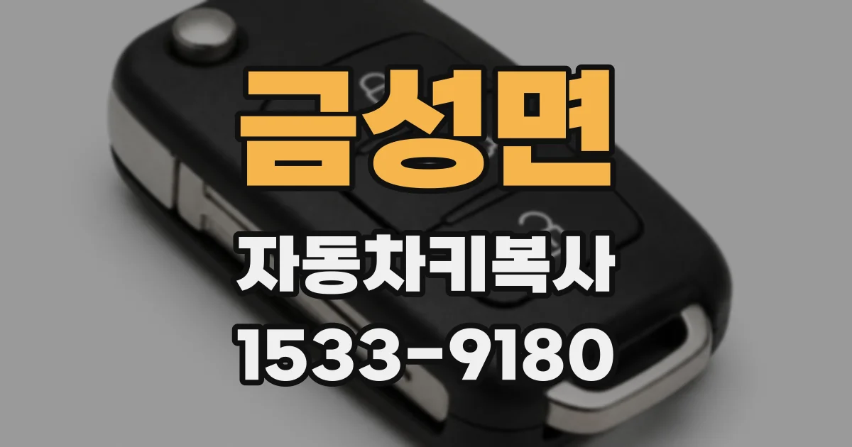 금성면 자동차키복사