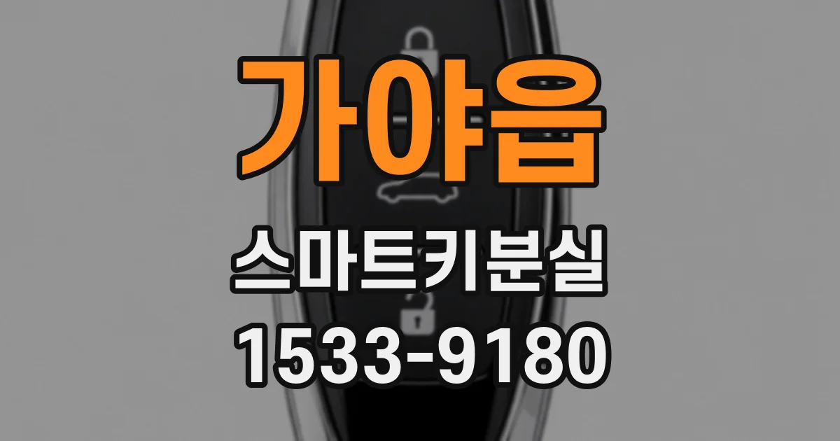 가야읍 스마트키분실