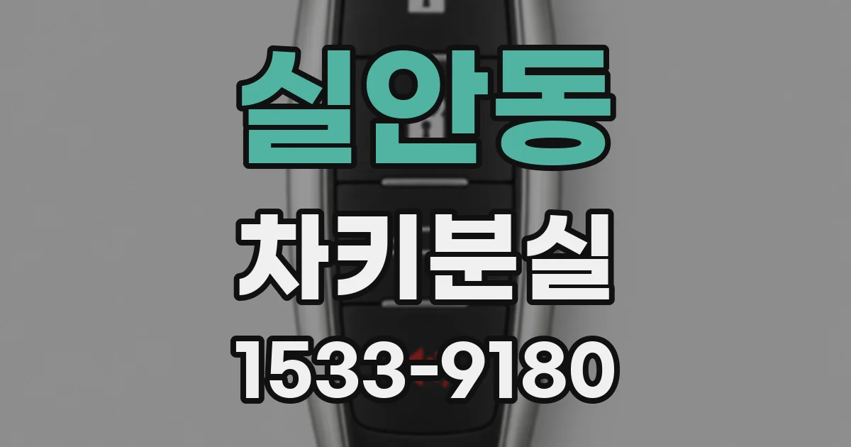 실안동 차키분실