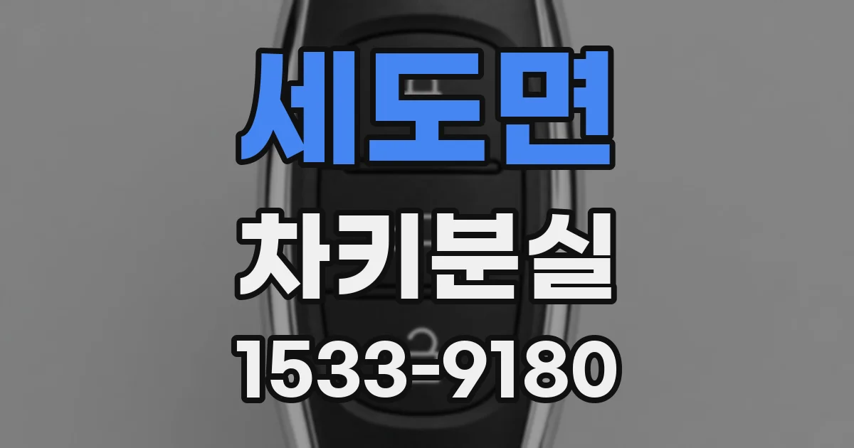 세도면 차키분실