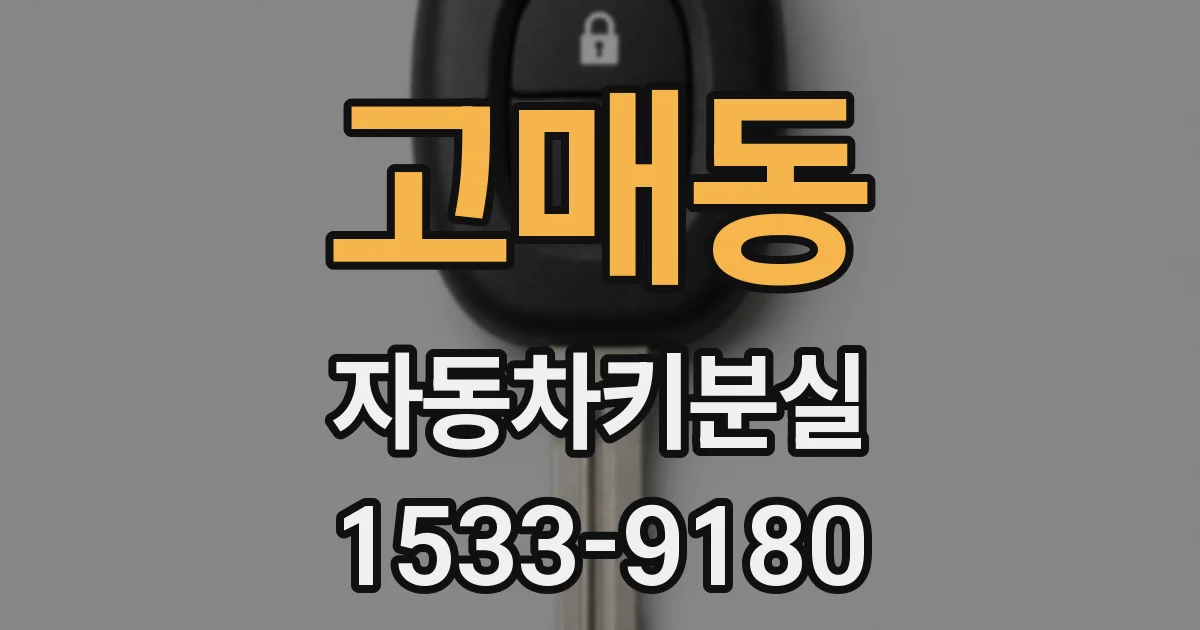 고매동 자동차키분실