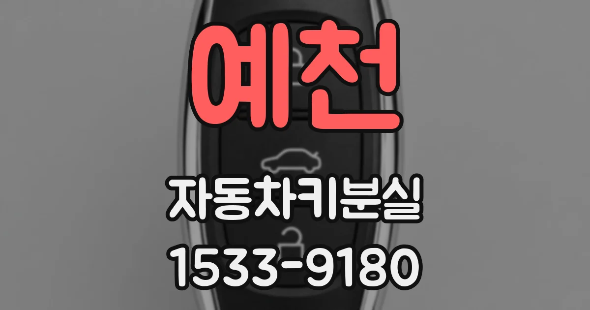 예천 자동차키분실