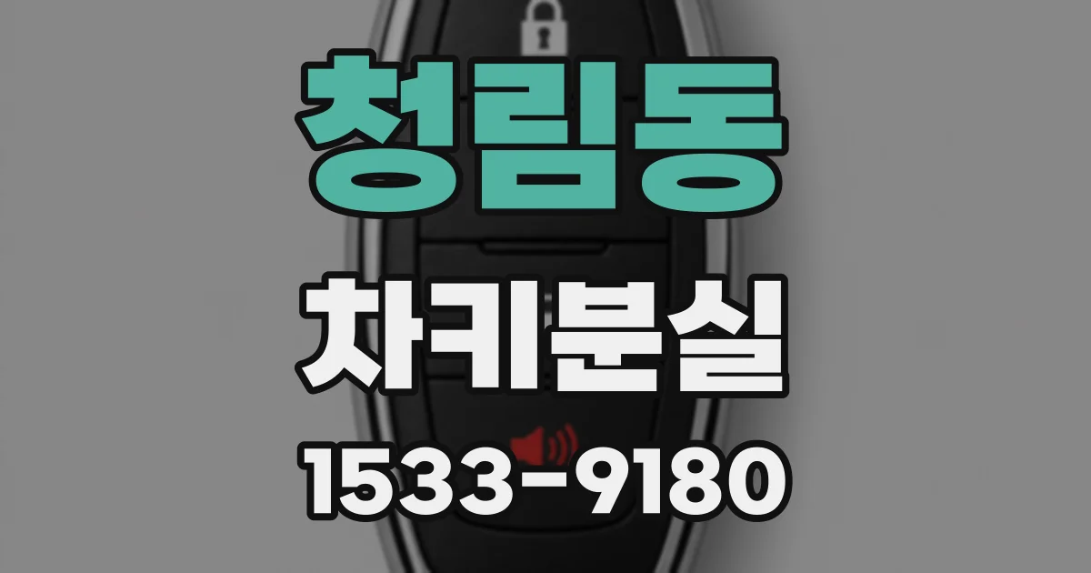 청림동 차키분실