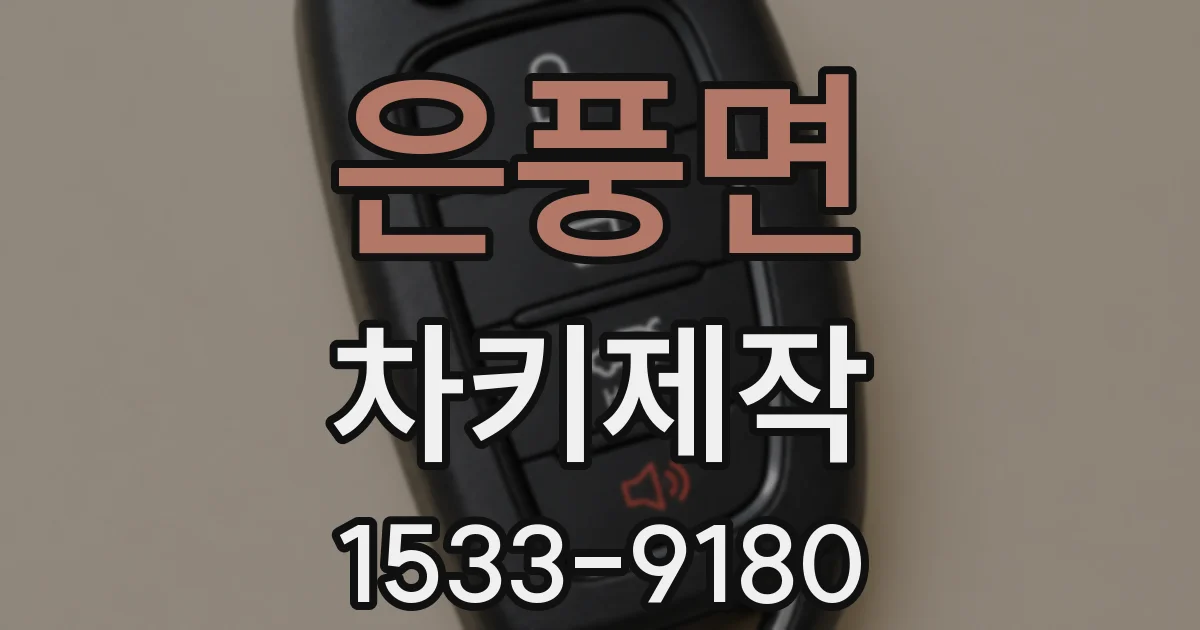 은풍면 차키제작