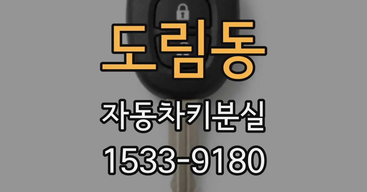 도림동 자동차키분실