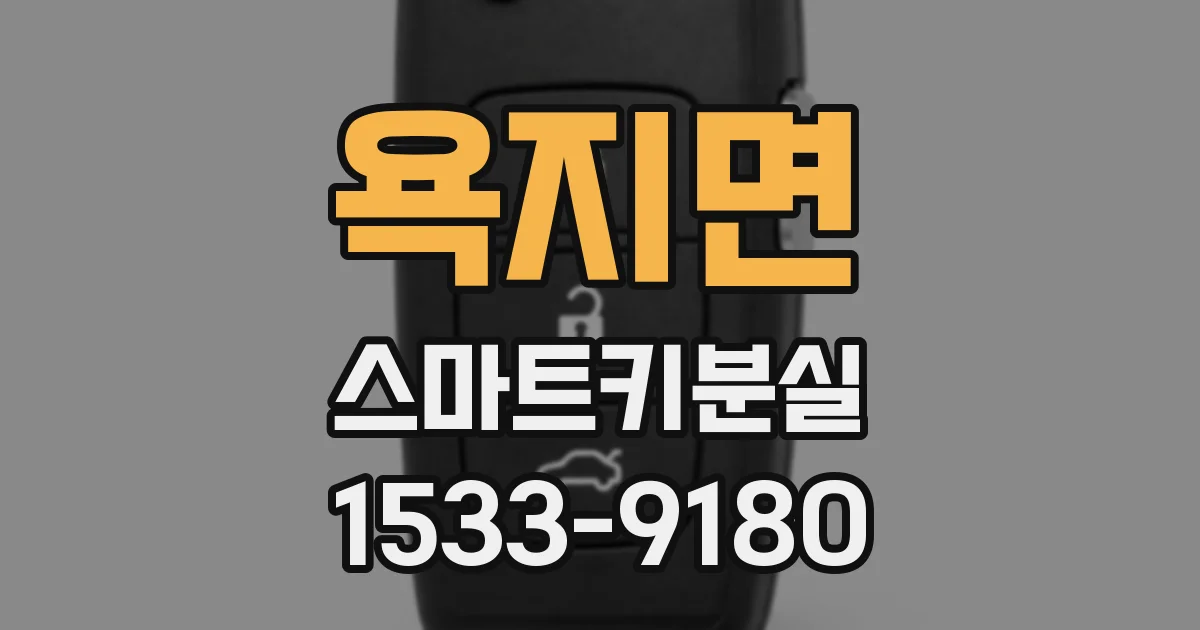 욕지면 스마트키분실