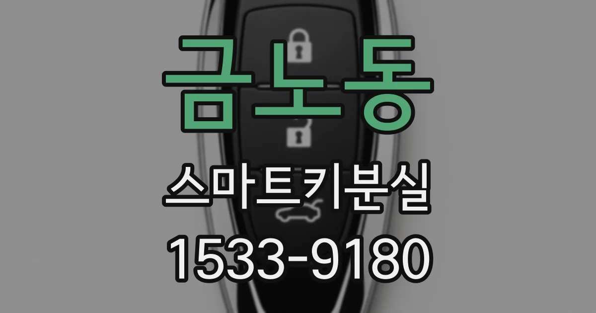 금노동 스마트키분실