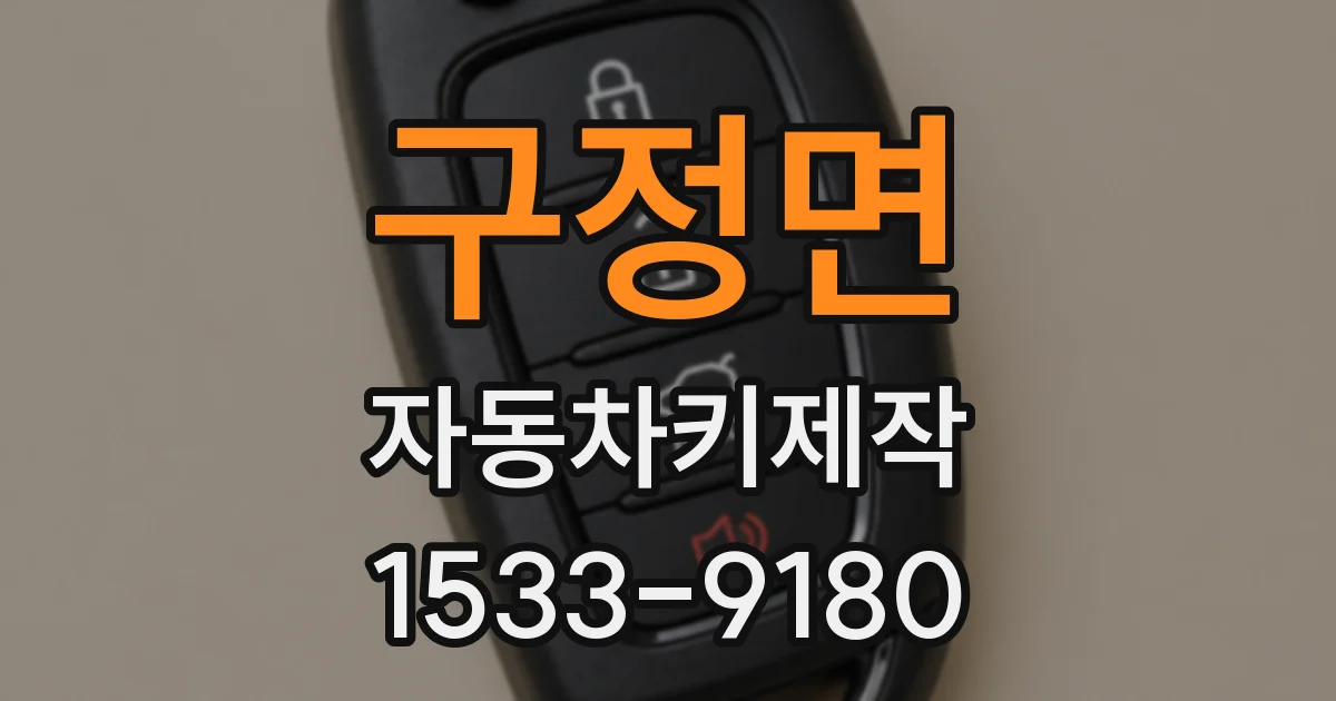 구정면 자동차키제작