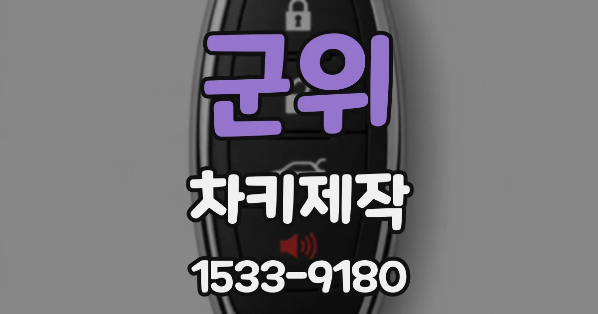군위 차키제작