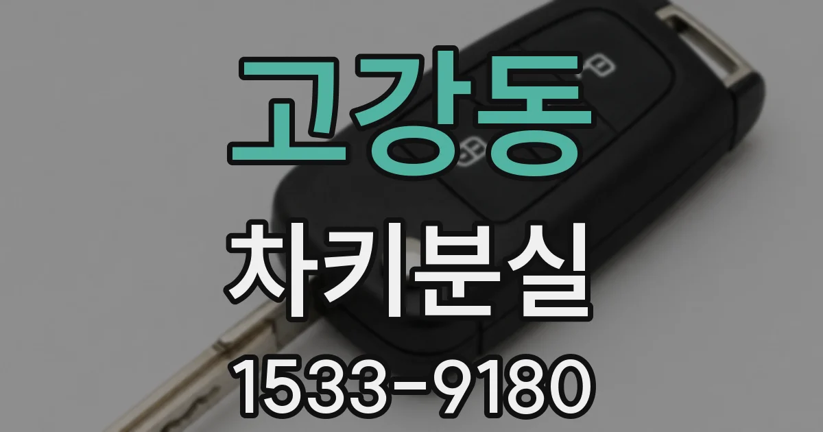고강동 차키분실