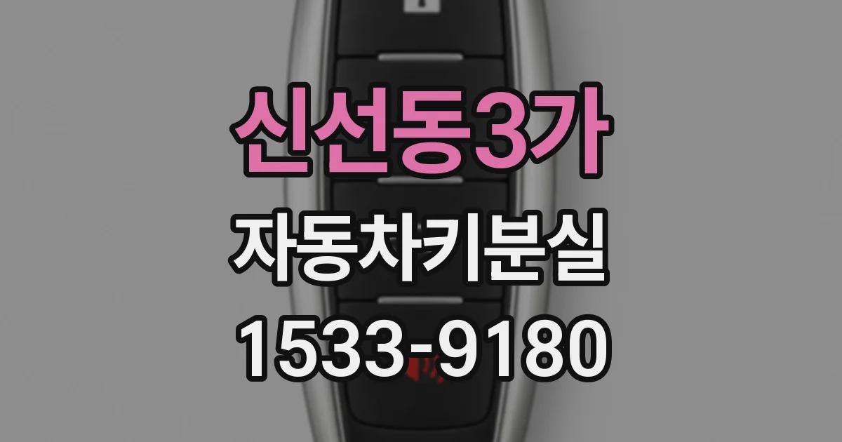 신선동3가 자동차키분실