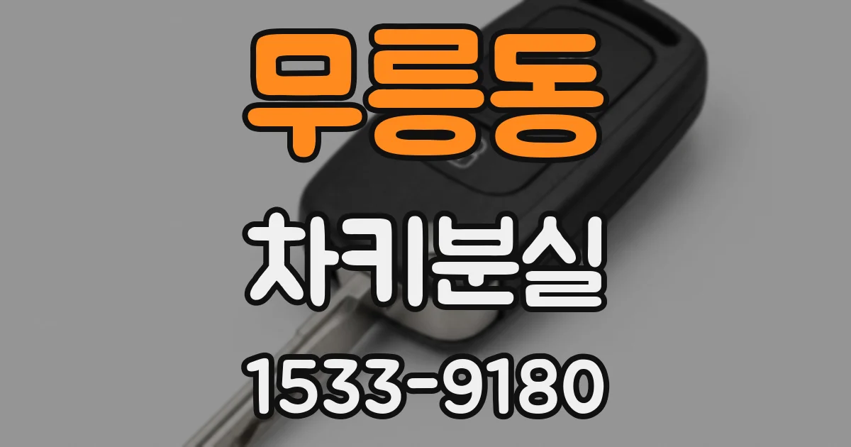 무릉동 차키분실