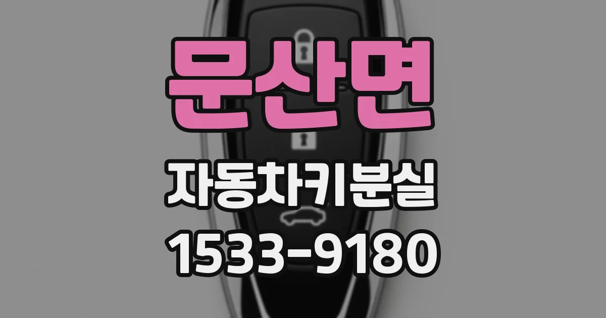 문산면 자동차키분실