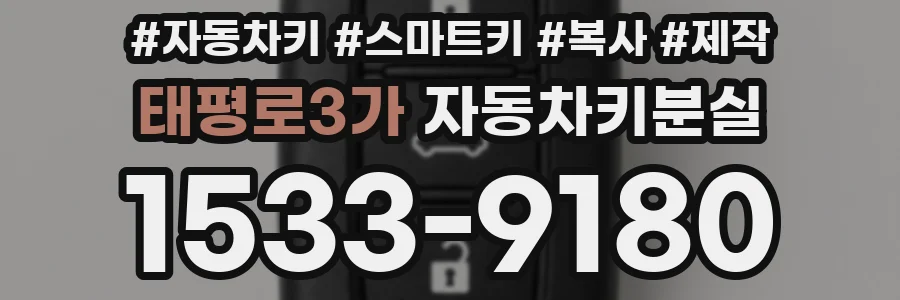 태평로3가 자동차키분실