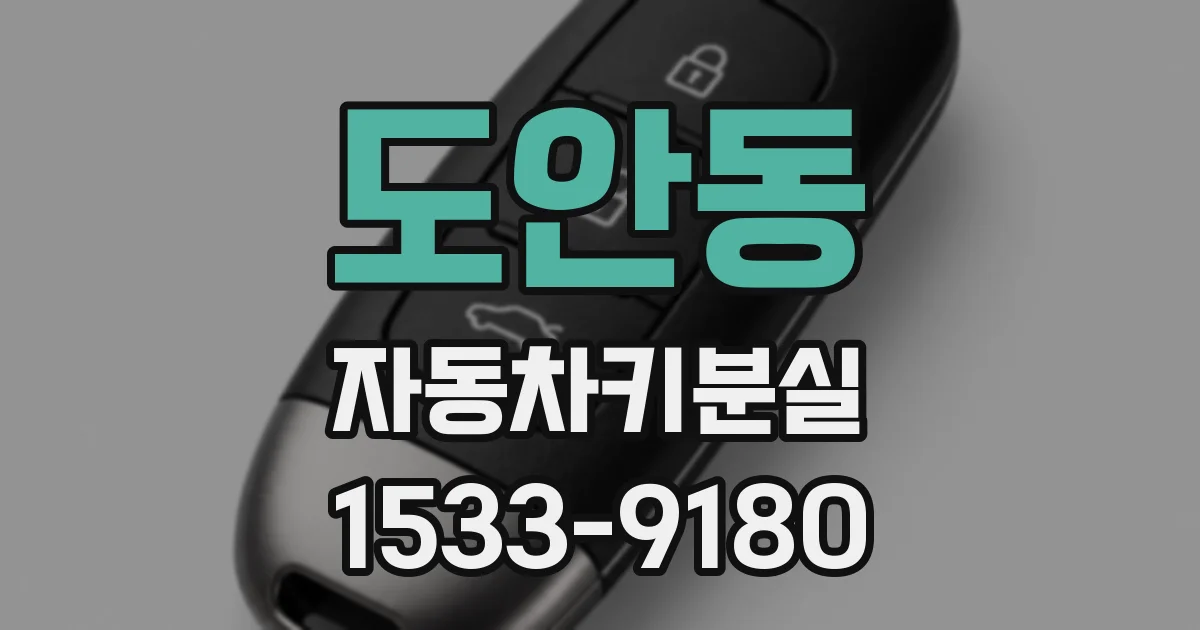 도안동 자동차키분실
