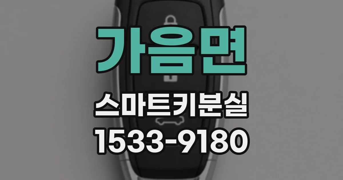 가음면 스마트키분실