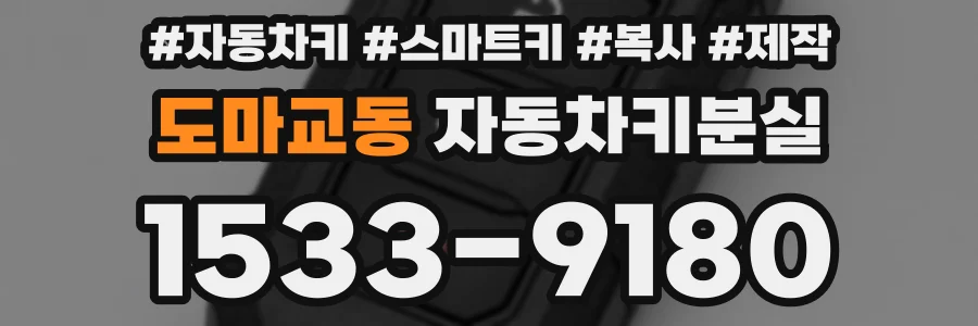 도마교동 자동차키분실