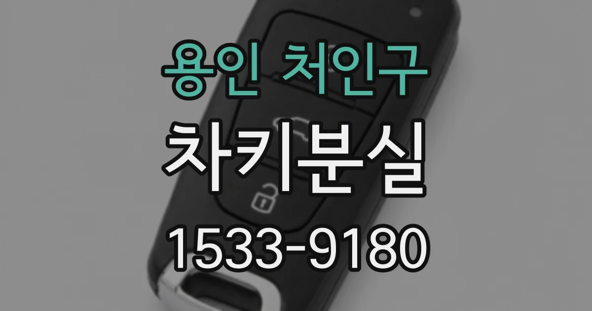 용인 처인구 차키분실