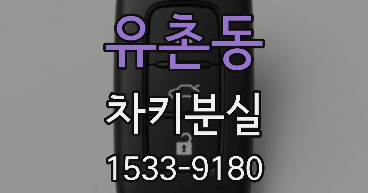 유촌동 차키분실