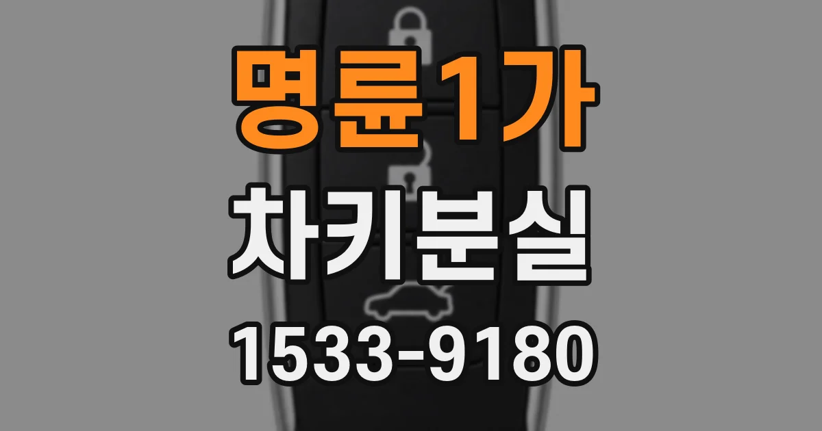 명륜1가 차키분실