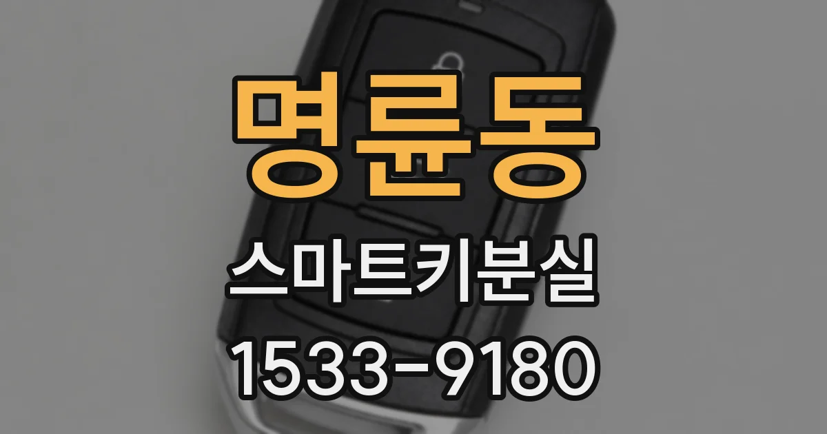 명륜동 스마트키분실