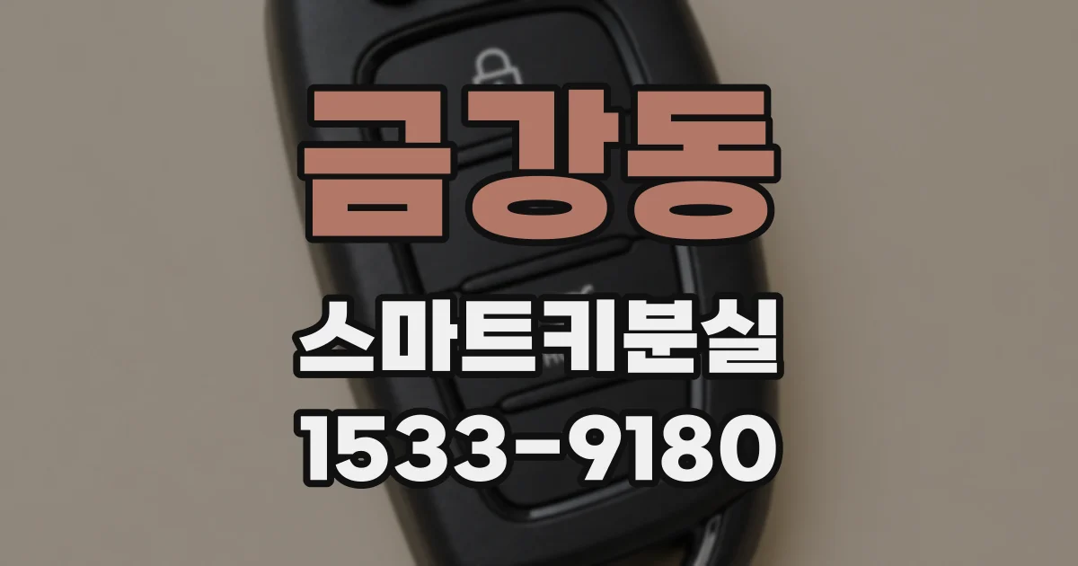 금강동 스마트키분실