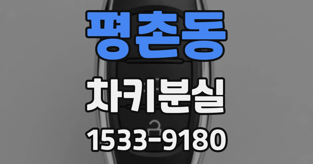 평촌동 차키분실