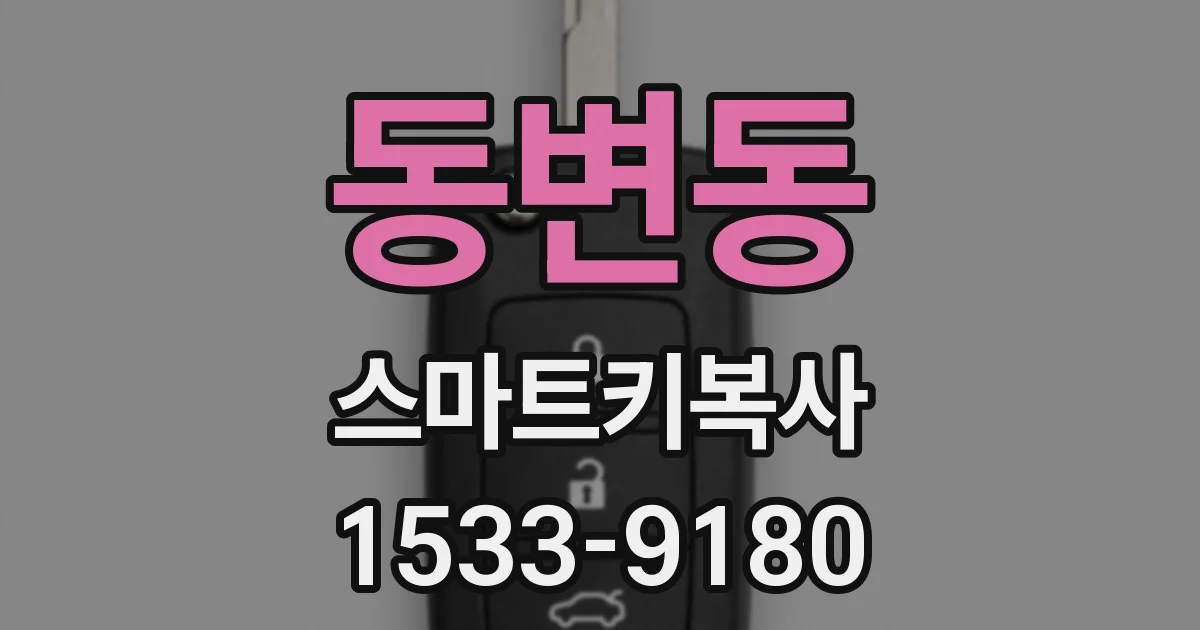 동변동 스마트키복사