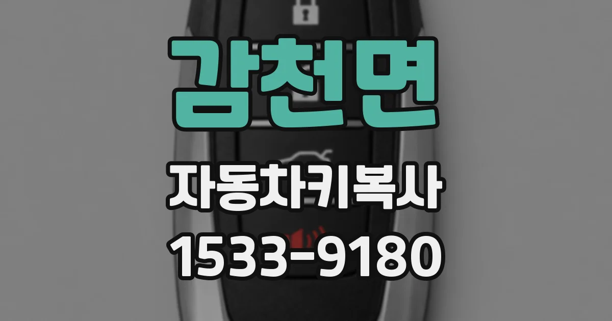 감천면 자동차키복사