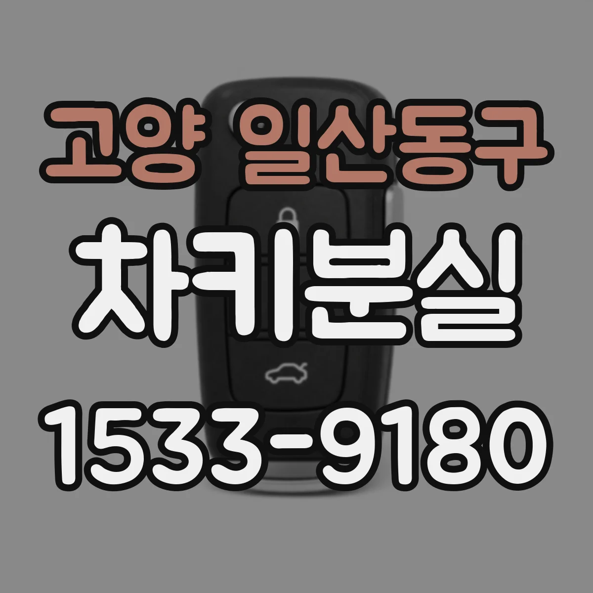 고양 일산동구 차키분실
