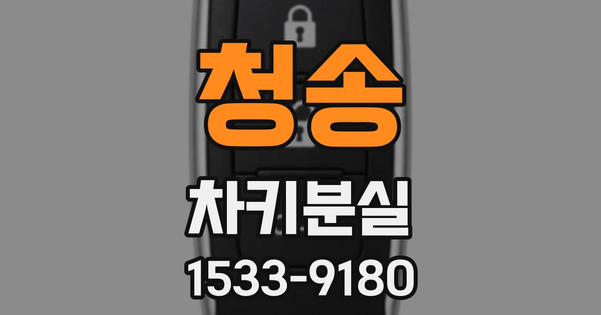 청송 차키분실