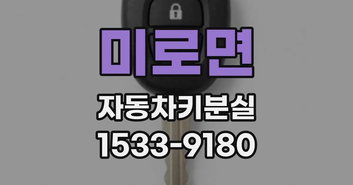 미로면 자동차키분실