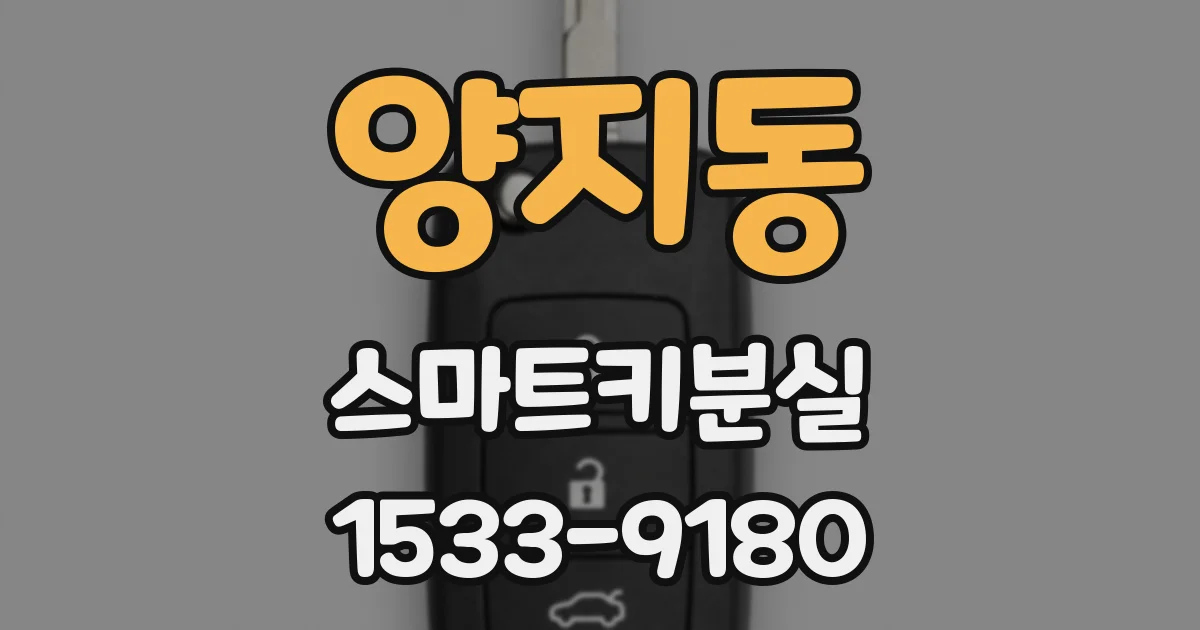 양지동 스마트키분실