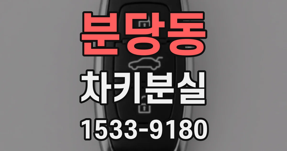 분당동 차키분실