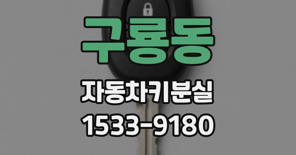 구룡동 자동차키분실